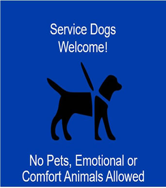 Service Dogs